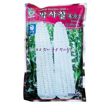 서부농약사 박사찰 옥수수씨앗 2500립 약75~100평 GMO아님 F1 찰옥수수 씨앗