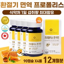 성장기 청소년 추천 겨울철 편도 부었을때 플로폴리스 면역기능 아연 구강 항균 프로폴리스 부모님 생신 효도 선물 환절기 건강 관리 60대 면역 영양제 식약처 인정 항산화 프로폴리스