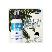 후레쉬슈즈 신발 냄새제거제 소독 살균 탈취 스프레이 민트, 1개