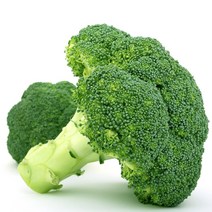 [입점특가] 국내산 브로콜리 특품, 1개, 8kg