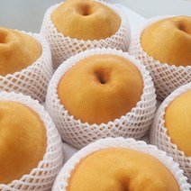 직거래농민장터 23년 첫수확 고당도 햇배 나주배, 9_나주배 5kg 7-8과 특대과 가정용