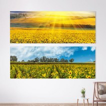 추석선물 특가할인 풍수액자 돈들어오는 그림 풍경이있는 해바라기액자 16종, S13 오후 황금해바라기들판