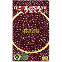 적색덩굴 강낭콩씨앗30g KS종묘 재배가 쉽고 맛좋고 모양도 좋은 줄강낭콩