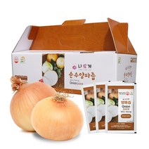 나애게 무안 순수 양파즙 100ml 30팩