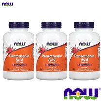 나우푸드 판토텐산 500mg 250베지캡슐 3팩 비타민B5 칼슘 아세틸콜린 지방산 조효소 A, 1개, 기본