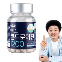 관절 알레 엔 콘드로이친 1200 윤택 600mg x 90정, 1통