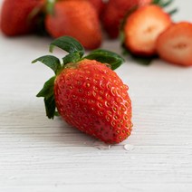 논산 설향 딸기 특사이즈 500g X 2팩 1kg