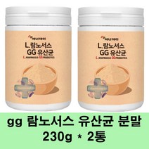 gg유산균 프로바이오틱스 가루 l 람노서스 분말 락토바실러스 프리바이오틱스 프락토올리고당 장건강 3세대 생유산균 유익균 먹이, 2통