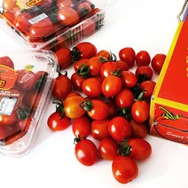 스윗마토 스테비아 대추 방울토마토 고당도 토마토 500g, 스윗마토(레드), 2팩 1kg(1000원 추가할인)