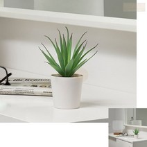 IKEA 책상 인테리어 조화 식물 화분 6cm 초록색 소형 인조식물