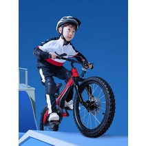 샤오미 나인봇 키즈 바이크 어린이 네발자전거ㄱ, 다른, B