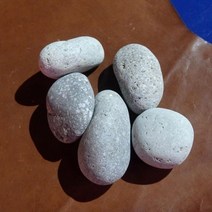 중형화분장식 자연석 중돌 에그스톤 5x5개 원예데코