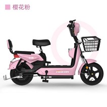 2인승 전기자전거 48V 20ah 자녀통학 장보기 나들이, 핑크