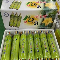 [남도5일장]국내산 애호박 10개 20개 인큐애호박