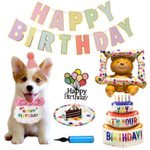 Coububu 강아지 고양이 애완 동물 생일파티 고깔모자 + 스카프 세트 + 케이크 모형, 핑크 세트