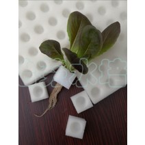 수경재배스펀지 식물 새싹 그로우폼 삽목용 발아 100pcs 지피펠렛 수경재배 야채 스펀지, A