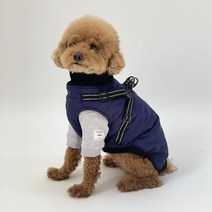 인기 있는 강아지겨울옷하네스 인기 순위 TOP50 상품을 놓치지 마세요