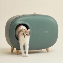뚱뚱한고양이 반려묘화장실 딥그린 사막화 냥이 암컷, 상세페이지 참조