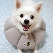말썽쟁이여름 강아지 고양이 애견 긁음방지 깔대기 넥쿠션 목보호대 중성화 깔때기 목 쿠션 천 넥카라, 그레이, M