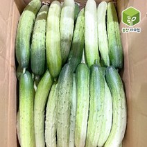 오이 백오이 백다다기오이 상 10kg, 단품