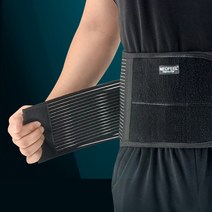 네오필 허리보호대, 1개