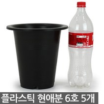 플라스틱 현애분 7호 블랙 5개 - 화분 베란다화분 꽃화분 대형화분 플라스틱화분 검정화분 블랙 화이트 흰색 파란화분, 01_한성_현애분 블랙(6호) X 5개