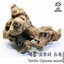 세틀 오푸와 유목 (S) 10~20cm [체리새우/crs새우/생이새우키우기] 애완관상용새우놀이터