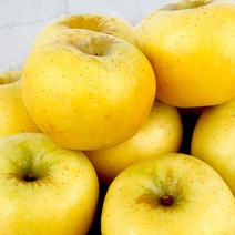 시나노골드 황금사과 새콤달콤 아삭한 맛있는 고당도, 시나노골드 2kg 내외(8과)