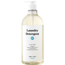 웨일리 홈드라이 고농축 중성 세탁세제 1000ml (펌프포함), 1L, 1개