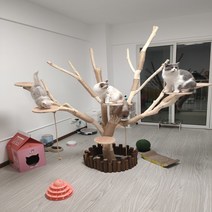 고양이 캣타워 스크래처 원목 나무 선반 원목캣타워 DIY, 사다리