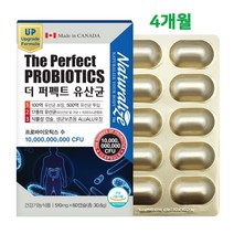 5세대 파라바이오틱스 사균 체 유산균 포스트 프로 프리 바이오틱스 100억 장밀착 배양건조물 락토코커스락티스 락토바실러스 불가리쿠스 효소 rgg 식물성 캡슐 식약청 인증 대용량, 두개
