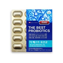 노블 더 베스트 유산균 비피더스균 식물성 캡슐 프로바이오틱스 프리바이오틱스 캐나다 15g, 30캡슐×2개