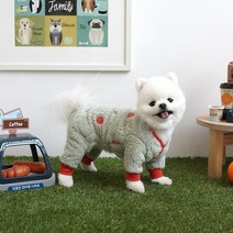 [도그러브]-22년 겨울 신제품-패리스독 한라봉 후리스 올인원(베이지 그레이) 후끈후끈한 겨울옷, 베이지