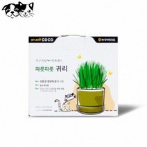 MDG5883 코코브라운 지구사랑재배세트 파릇파릇 귀리3개입 (강아지/고양이/고양이간식/캣닢), 단일상품_W8D0319_개당 중량_상세페이지참조, 단일상품_W8D0319_사료/간식 주원료_상세페이지참조