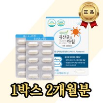 김치유산균 면역력 아연 셀렌 프로바이오틱스 장내 유익균 장 운동 에 좋은 락토바실러스 불가리쿠스 람노서스 PREBIOTIC 여성 임산부 주부 쾌변 배변보조제 장건강 추천 영양제 장내
