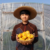 과일꾼 성주 벌꿀 참외, 1box, 가정용 대과 2kg 4-6과