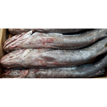 급냉 민어(매운탕용) 1.5kg 목포민어 신안민어 지도민어 민어매운탕 민어지리탕, 냉동민어(매운탕용)2kg(1-2마리), 1개
