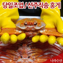 산지 직송 국산 영덕 대게 박달 홍게, 11_실속자숙홍게(소)자5~6kg(20마리)