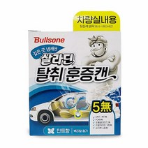 블스원 실내탈취제 차량탈취제 살라딘 훈증캔, (민트향)