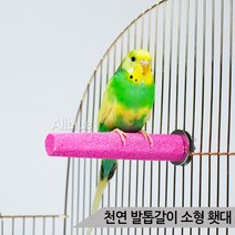 앵무새가 먹어도 되는 천연 발톱갈이 소형 횃대