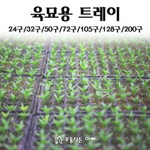 [모종심는아빠] 육묘 트레이 1개 (24구 32구 50구 72구 105구 128구 200구), 24구