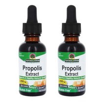 네이쳐스앤서 프로폴리스 2000mg 액상 20ml 2병, 액상 20, 2개