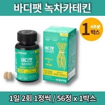 그린 녹차 리얼 카테킨 알약 슬림 40대 50대 60대 남성 여성 다이어트 CATECHIN 카테친 카테퀸 해조칼슘 보이차 레몬밤 추출물, 1개