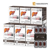 대웅 [28]대웅생명과학 가네파워 6박스 밀크씨슬, 상세 설명 참조, 단일옵션