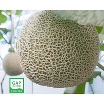 세지메론 고당도 머스크 세론이 멜론 11~13Brix 보통~특품 GAP인증 세지농협, 파랑박스(12Brix-상급) 1.25kg x 1통, 1개