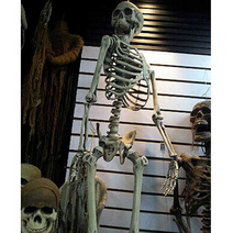 할로윈대형장식(리얼전신입체해골모형_대)할로윈파티