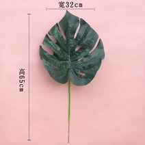 센픽 조화 버터플라이꽃 설유화 루모라고사리 양귀비 미니 꽃다발 국화 29 동백꽃 버들강아지 자작나무가지, 거북이 잎