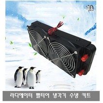 A022 라디에이터 열전기 펠티어 냉각기 2개의 냉각 팬