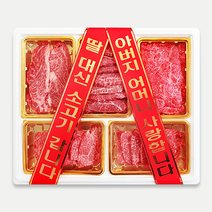 우마왕 한우 1++ 투뿔 구이용 백화점 명품 선물세트 리본메시지, 1kg, (오복)등심+채끝+살치+갈비살+부채살