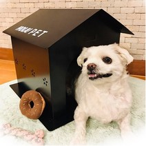 마더가든 철재 올라 펫 하우스 강아지집, 화이트